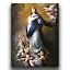 Immaculate Conception