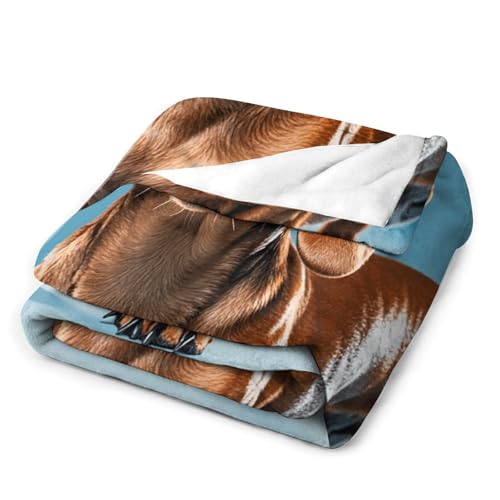 Plaid teckel en flanelle de qualité supérieure pour une douceur durable