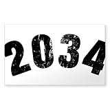 CafePress 2034 Year Vintage Sticker Rectangle Bumper Sticker Car Decal