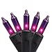 Northlight Set of 100 Pink Purple Mini Halloween or Christmas Lights - Black Wire