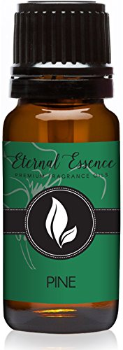 Pine Needle Premium Grade Fragrance Oil - 10ml - Scented Oil