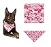 PUREPET Pink Camo Dog Collars Bandana Leads Hoodies or Bone Toy Choose Item or Add All 5 (Bone Toy - 10.75 inch)