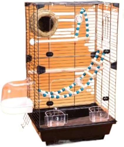 Oceanightgx |₷ |[^u ^E^E^ɓK CREIJCRp \ \ uRt t[h{Et XibvIfUC ybgpi g₷ (ANł,C)