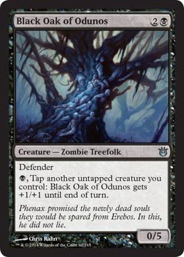 Magic The Gathering - Black Oak of Odunos (62/165) - Born of The Gods
