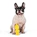 PEANUTS for Pets Charlie Brown Woodstock Vinyl Squeaker Dog Toy | Squeaky Dog Toy for All Dogs | Charlie Brown Plastic Dog Toys for Aggressive Chewers - Fun and Cute Yellow Dog Chew Toy, 5.5 Inch