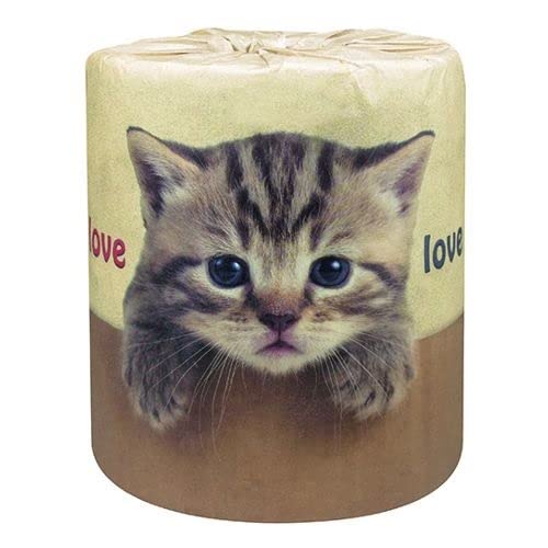 yP[Xizѐ(Hayashi Seishi) gCbgy[p[ 810083 ςLD 30m _u 100