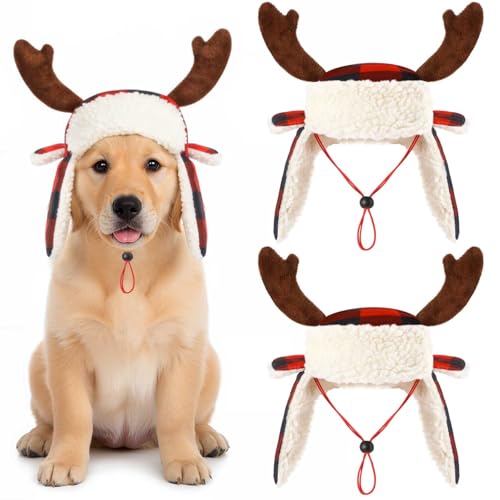 Dansydaisy 2 NX}X Ag[ `FbN  T^nbg ߉\ ybg bh iq ybg Lbv NX}X Ag[ pXq ^  ^p (S)