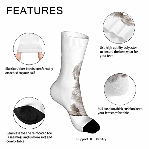 Image of Pehede Socks Mens Fun Dress Socks for Women Funny Novelty Crazy Design Socks