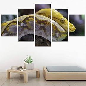 SIGNWIN 5 Panel Canvas Wall Art Coiling Around...