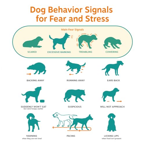 Image of Zesty Paws Advanced Calming Soft Chews for Dogs - Composure & Relaxation for Everyday Stress & Separation + Thunderstorms - with Melatonin, Ashwagandha & L-Theanine - 90 Count