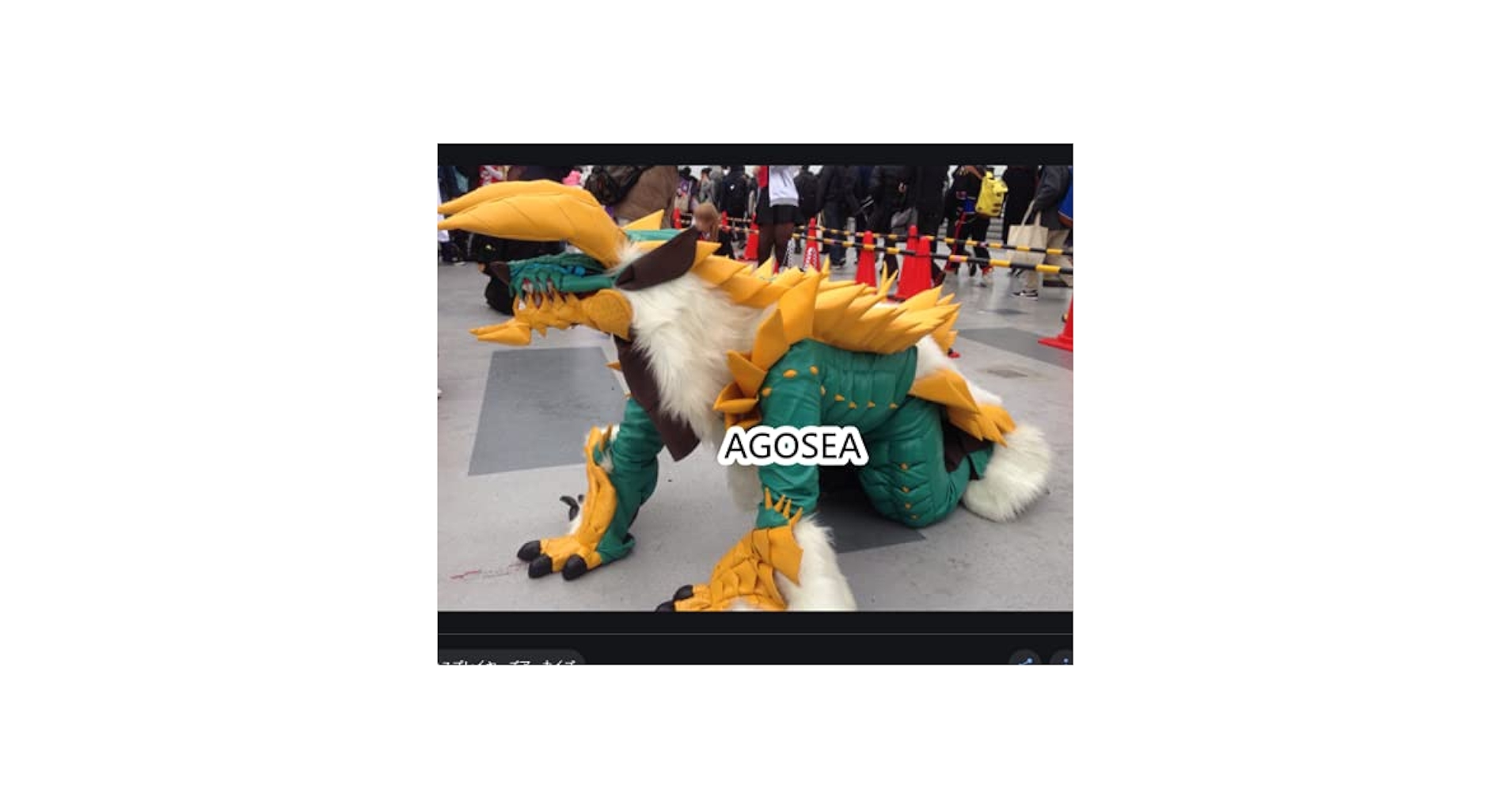 Amazon.co.jp: [AGW] ドラゴン 着ぐるみ ファースーツ ケモノ
