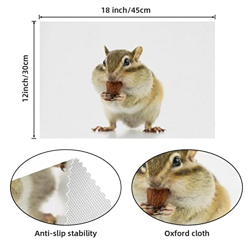 Set de table hamster mignon, cadeau idéal pour amateurs d'animaux