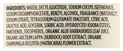 Image of 365 by Whole Foods Market, Hand Soap Foaming Satsuma Eucalyptus, 12 Fl Oz (Pack of 2)