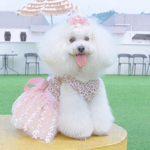 Image of CuteBone Dog Birthday Dress Girl Puppy Skirt Tutu Cat Wedding Outfit Pet Party Clothes for Small Dogs Costume DD23L