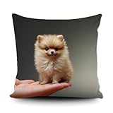 Decoración perfecta para el hogar: se adapta fácilmente a su hogar, sofá, silla, escritorio, automóvil, oficina, silla de ventana, hotel, dormitorio, sala de estar, etc.