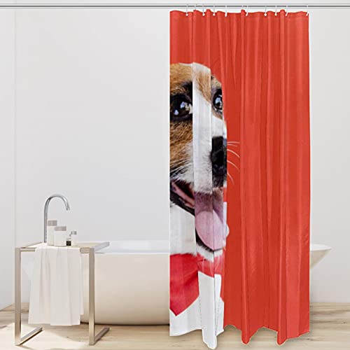 Rideau de douche chien mignon 183x183 textile lavable - 3
