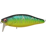 Megabass
