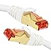 Cat7 Ethernet Cable - 50 ft - RJ45 Connector - Double Shielded STP - 10 Gigabit 600MHz - Cat 7 Premium High Speed Network Wire Patch Cable (7.5m) LAN Cord - 50 Feet