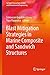 Produktbild Blast Mitigation Strategies in Marine Composite and Sandwich Structures (Springer Transactions in Civil and Environmental Engineering)