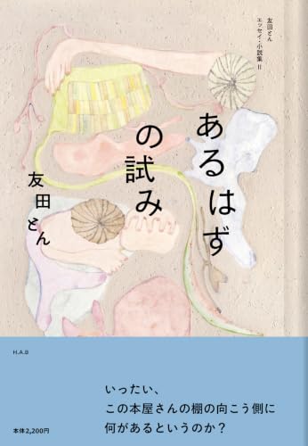 あるはずの試み: 友田とんエッセイ・小説集II