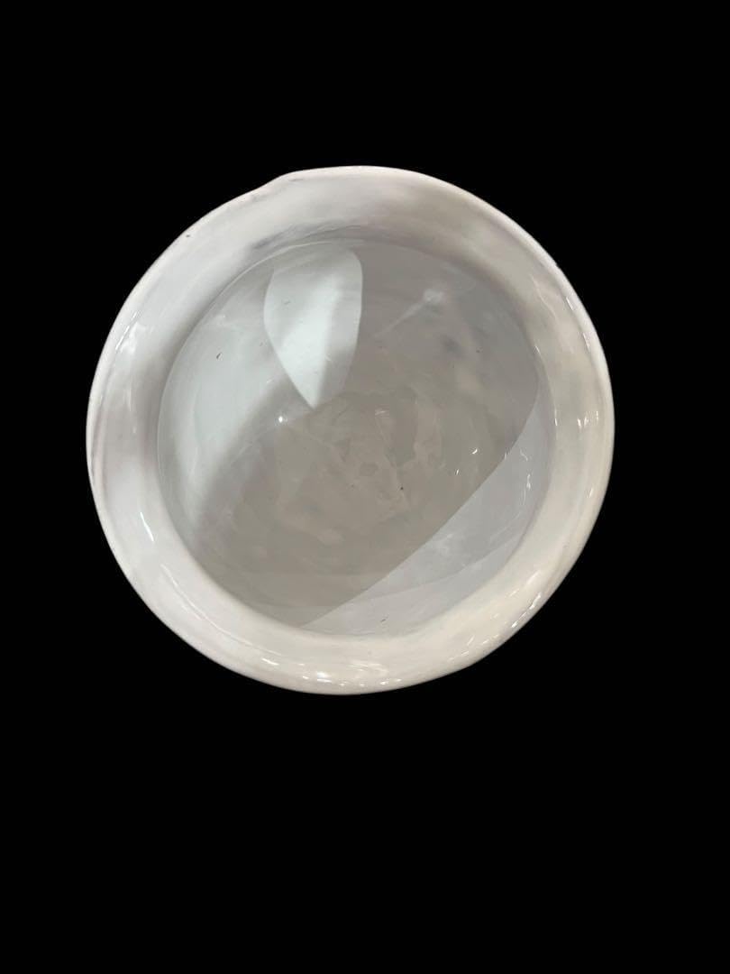 マチルダキャロン アスティエドビラット 白い陶器の装飾ボウル 中型