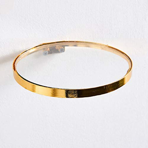 GGGUOJINN Glass Wall Shelf for Flowers and Plants