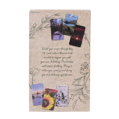 Guía de Tarot para Principiantes con Cartas Originales