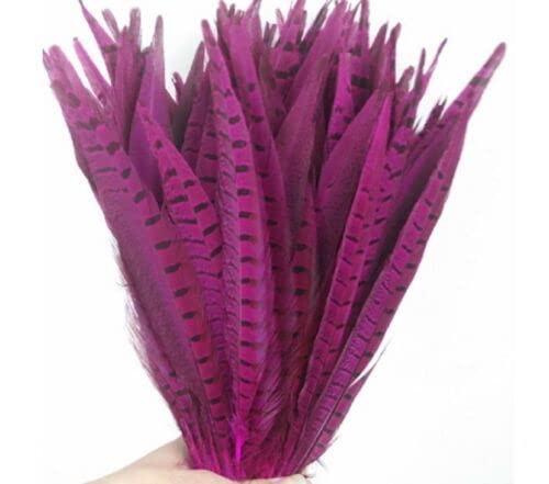 HoitoDeals 10Pcs Rose Pink Pheasant Feather 25-30cm Tails for Crafts Various DIY Birthday Party Wedding Home Decorations