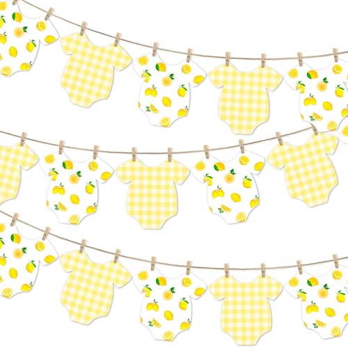 Lemon Themed Baby Shower Bunting Banner Yellow Checkered Onesie Garland