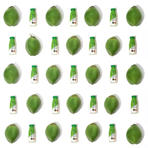 Image of Cocojal Natural Tender Coconut Water | No Added Flavours | No Added Sugars | Not From Concentrate | 200ml (Pack of 18)