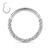 Anillo de tabique Helix Conch Tragus Piercing Jewelry 316L Cirugía de Acero Nariz Anillo de Anillo Ilage 20G 18G 16G 14G