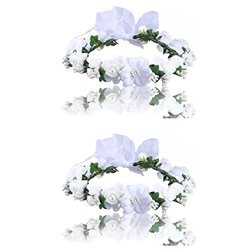 Zynphancer ԉ  t[eBA EGfBONE pXeJ[ 2_Zbg Ƃ̌݊