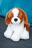 HEITMANN DECO PET Plüsch Cavalier King Charles Spaniel, Weiß/Braun