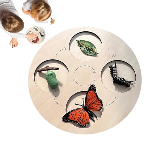 Kit cycle de vie du papillon en bois idée cadeau enfant