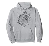 Heart Anatomy Hand Drawn