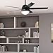 Hunter 52 inch Indoor Ceiling Fan with LED Light - Black Ceiling Fan with Pull Chain, For Bedroom, Living Room, or Kitchen, Standard Mount, No Remote, 5 Blades - Anslee 52385, Matte Black