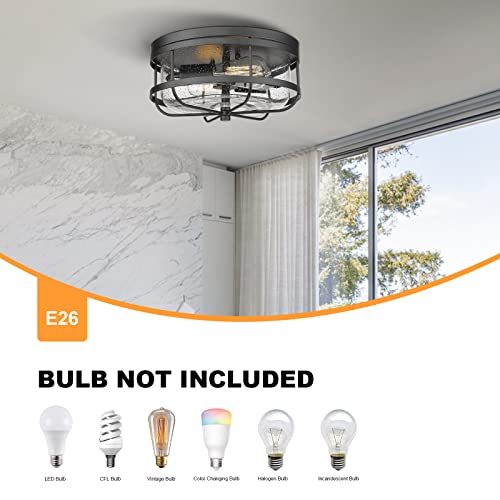 Rosient Light Fixtures Ceiling Mount, Flush Mount Ceiling Light With Seeded Glass For Bedroom Bathroom Kitchen Porch Hallway Hall,Ros91A-Bk #TOP2