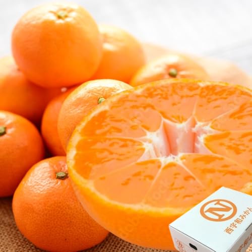 y|Cg5{IzFa݂ QyJAFawzy QL TLi2.5L×2P[XjzŷΉz y11{Jnz_ƊÖ̃oXꂽ Q B݂ FaY Ε Ε ~Mtg  蕨 ~O