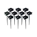amscan Graduation Cap Plastic Picks | Party Favor | Pack of 10