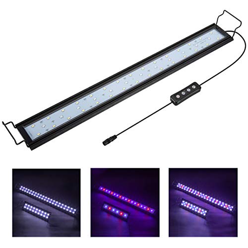 Best 30 Gal Fish Tank Hood