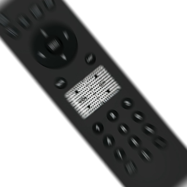 新しいvr4リモートコントロール交換vr2リモートfor VIZIO TV vl260?m vo370?m vo420e vp422?veco320l veco320l1?a vl320?m vp322?veco320lhdtv v Amazon.com: New VR2 Replaced Remote fit for Vizio TV VL260M VL320M