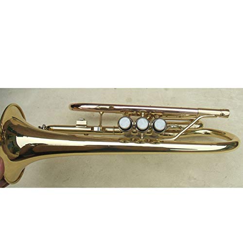 Funion Cornet Outfit Bb Key, Tuning Slide Trigger, Gold Lacquer With Case, Gloves,Cleaning Cloth #TOP2