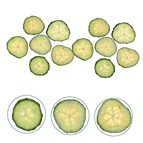 Rodajas Naturales de Pepino Seco Presionado para Manualidades 12 piezas miniatura 3