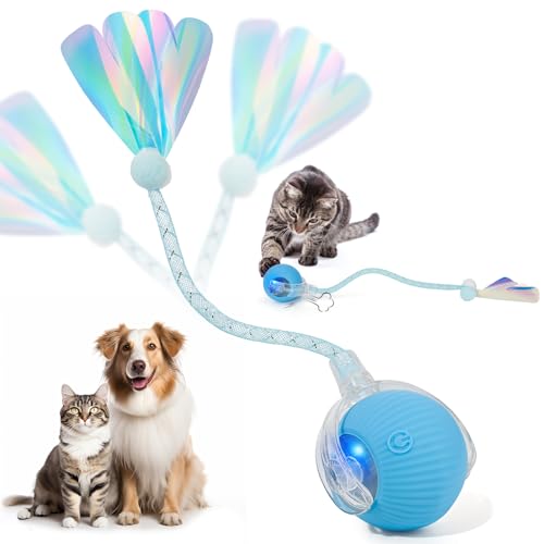 Interactive Smart Rolling Ball for Cats