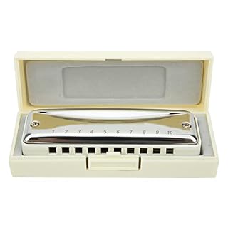 ABS Acier Inoxydable F Key Blues Harmonica, Harmonica Diatonique, Adolescents Adultes Débutants Enfants (Blanc) – Image 2