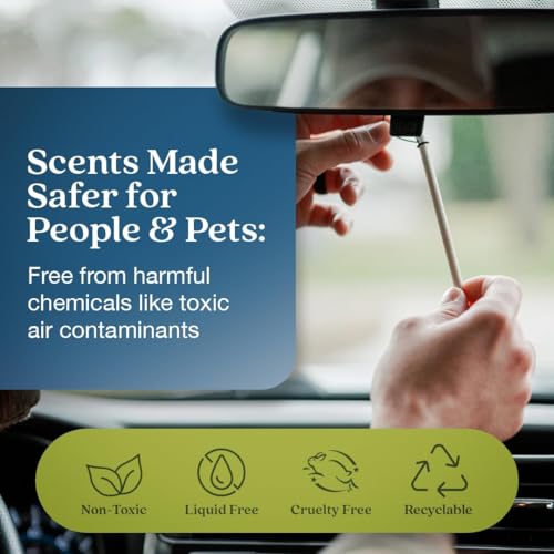 Image of Enviroscent Non-Toxic* Car Air Freshener Auto Stix - Scents Made Safer - Enjoy Fragrance Lasts Up to 480 Days - Includes Auto Stix Diffusers & Elastic Loops - Coastal Storm & Teakwood (Pack of 8)