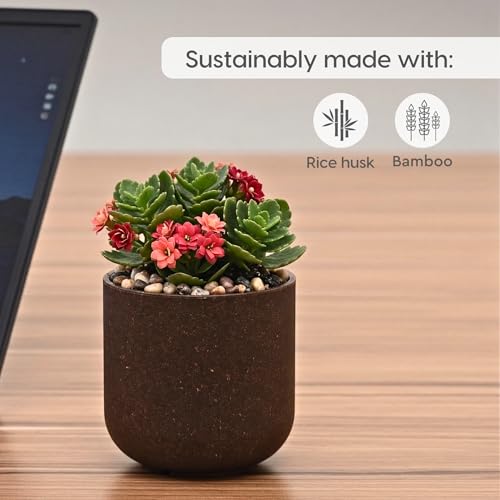 Image of Eha Earth-Friendly Terrapod Planters for Home Decor | 3.5 Inch, Pack of 4 | Small Plant Pot Made with Rice Husk Biocomposite | Flower Pot for Living Room | Coffee