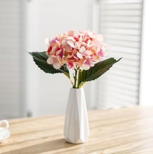 Demanca  CeA A[gt[ ԑ EGX^[Yt[ O v[g Mtg 蕨 JXj a    EFfBO u[P   Be p z[ 뉀 Lb` ItBX \[vt[ 