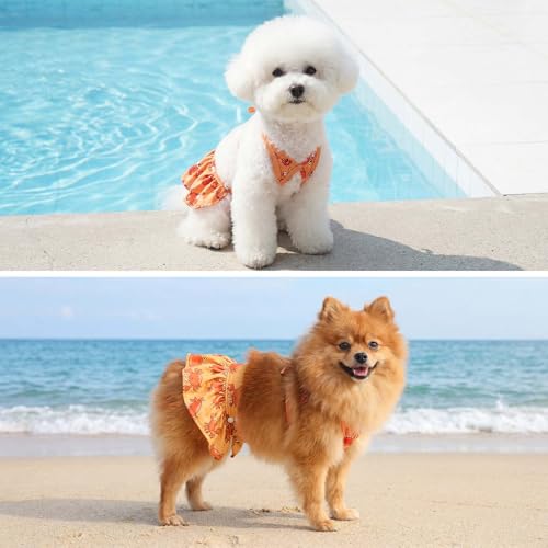 Image of CuteBone Dog Bikini Dress, Stylish Swimsuit Costume for Small Dogs, Comfortable & Adjustable Puppy Bathing Suit, Soft Outfit Pet Apparel for Beach, Pool and Summer Fun DB44M