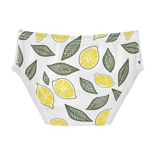 visesunny Boys Potty Training Underwear Fresh Lemon Greens Breathe Cotton Briefs Size 2T-8Y for Toddler2